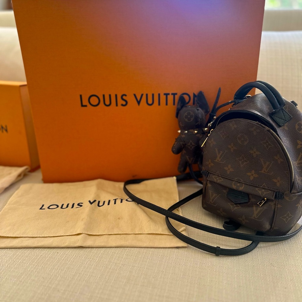 Louis Vuitton Palm Springs Mini